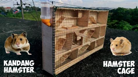 Cara Mudah Bikin Kandang Hamster Kawat yang Nyaman